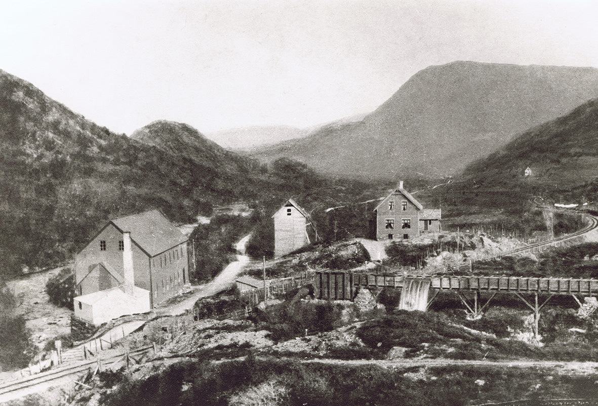 Janusfabrikken i året 1895