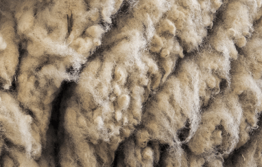Close-up wool texture